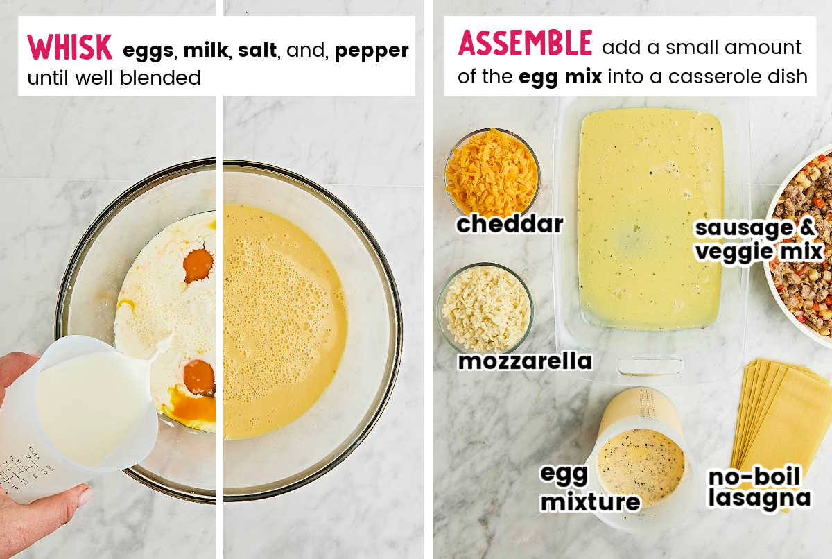 流程步骤:让鸡蛋混合和组装烤宽面条。gydF4y2Ba